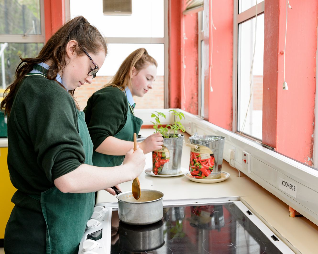 GCSE Home Economics Child Development Dean Maguirc College